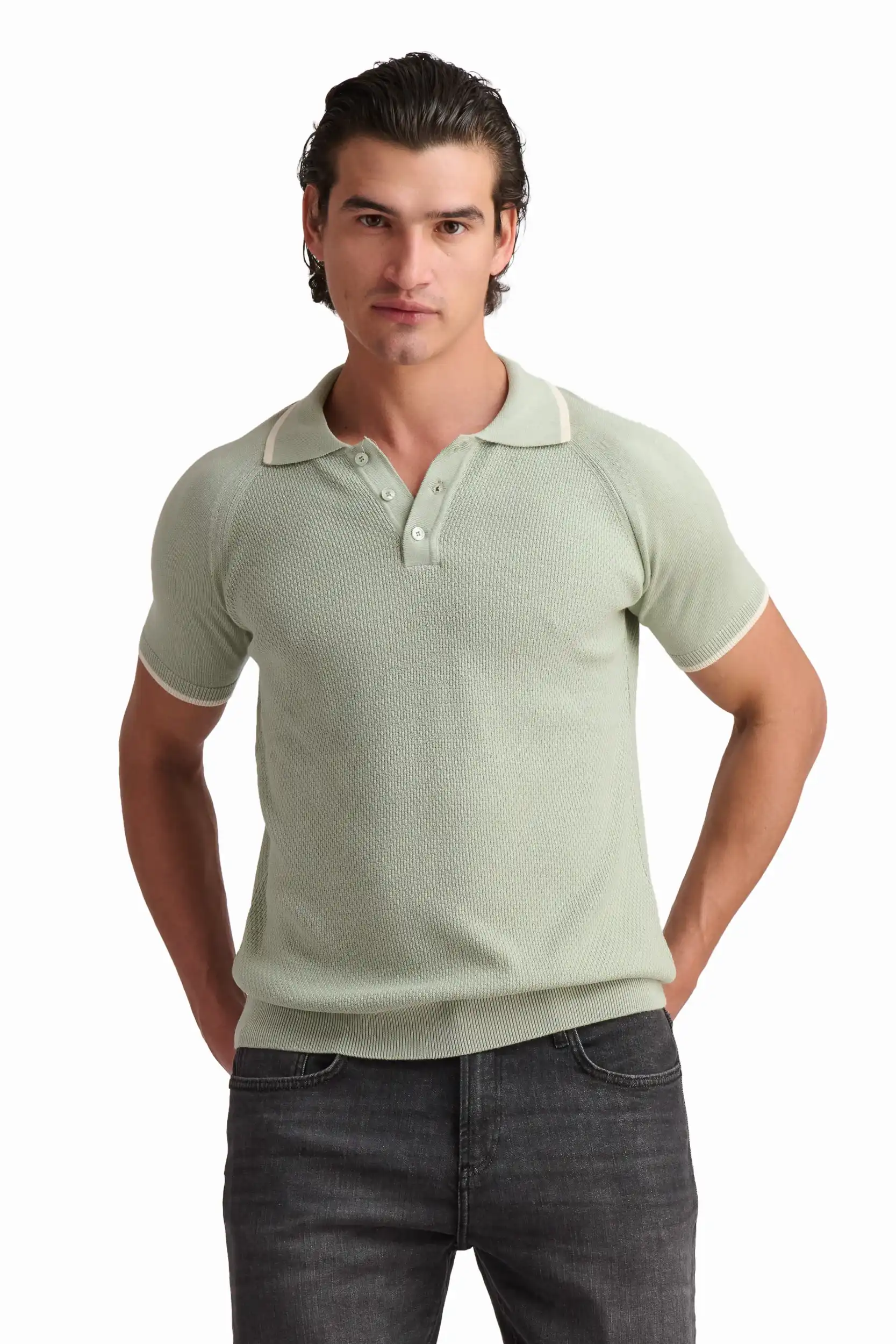 Sage Green Cotton-Modal Polo Shirt - Image 3