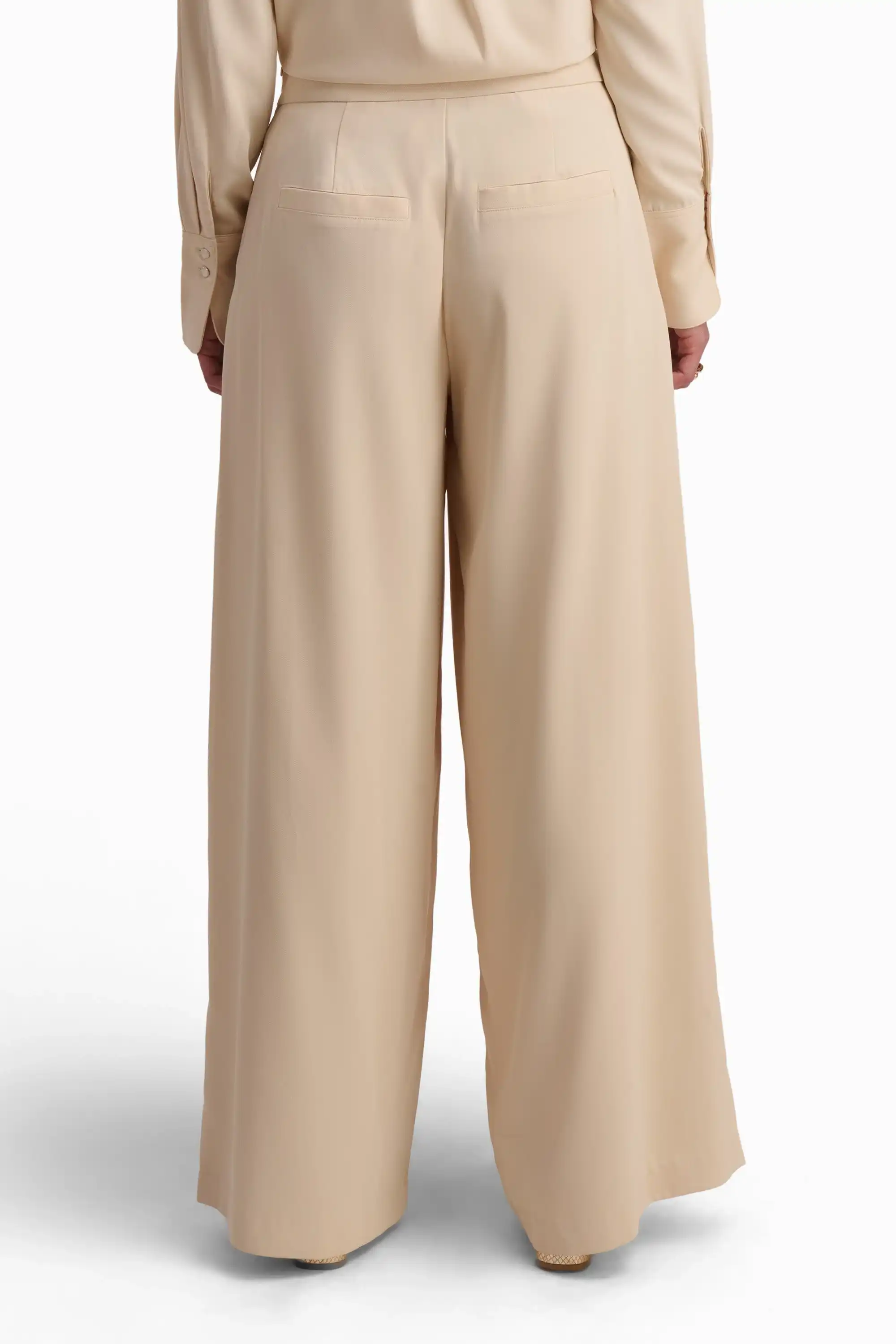 Beige Wide-Leg Pleated Trousers - Image 4