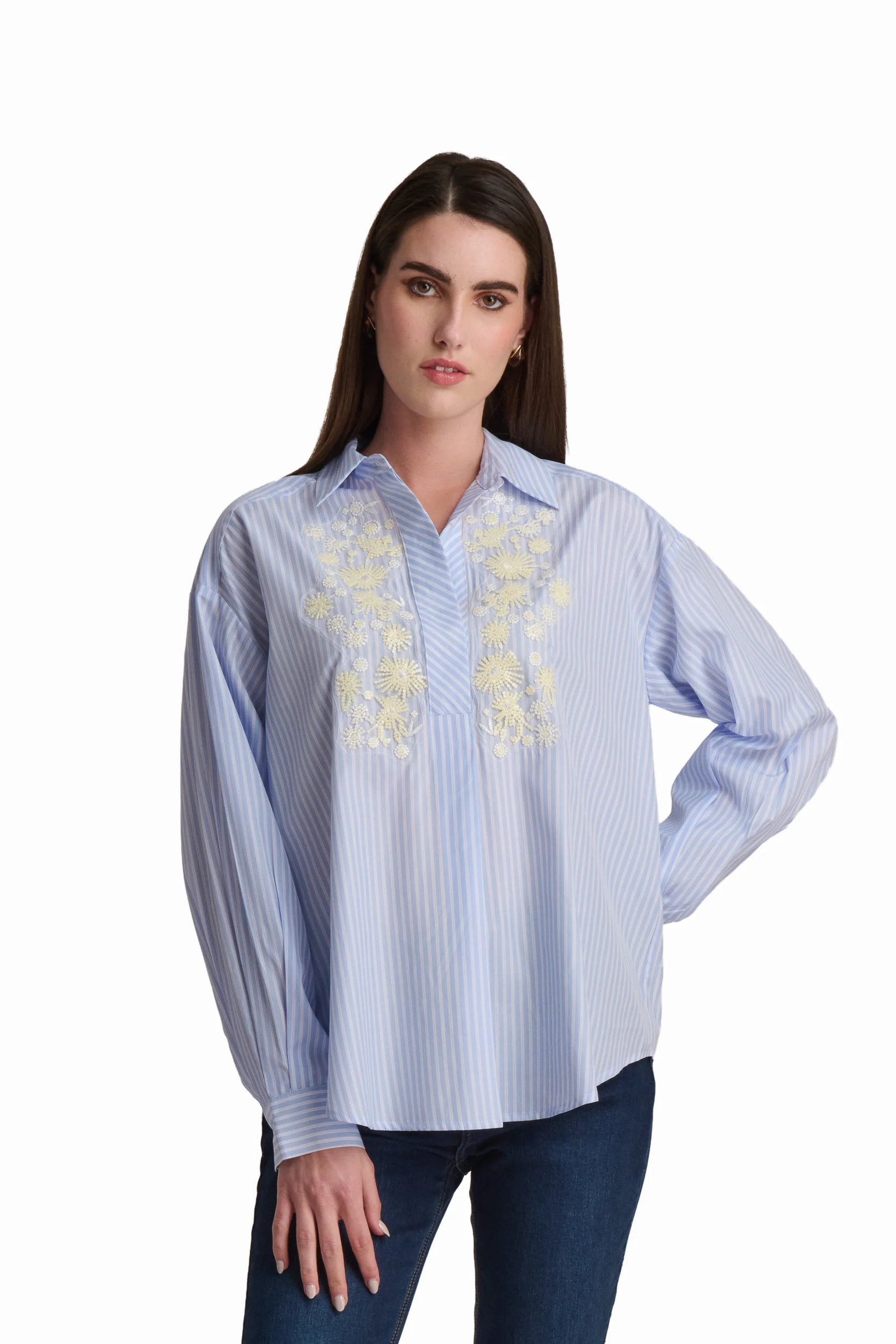 Embroidered Stripe Shirt - Image 2